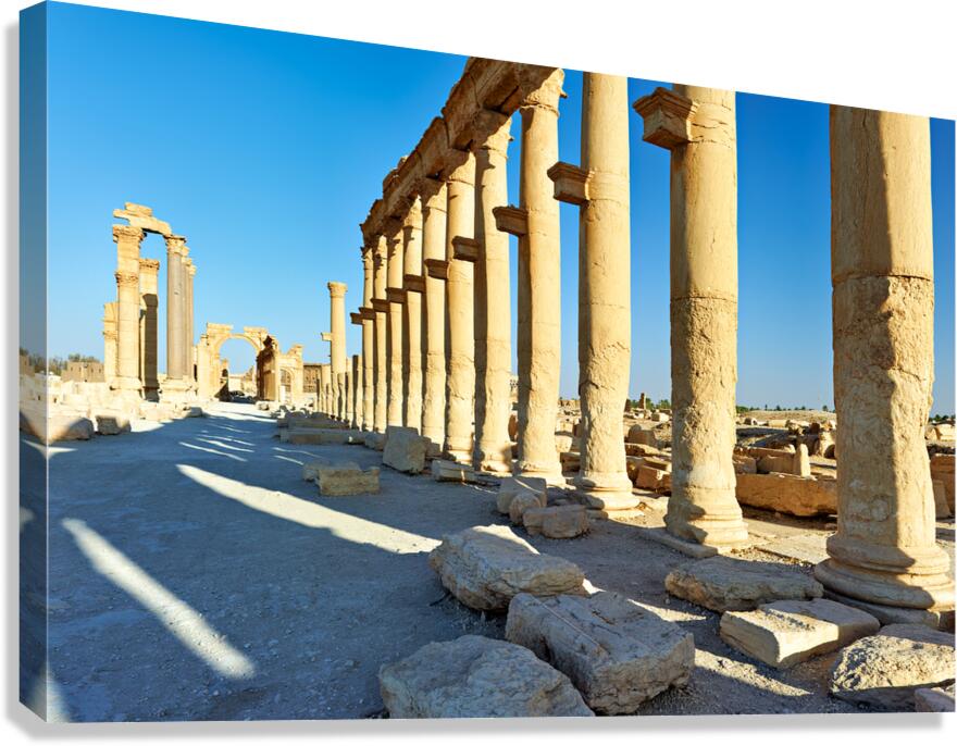 Exploring Palmyras ancient colonnade and arch