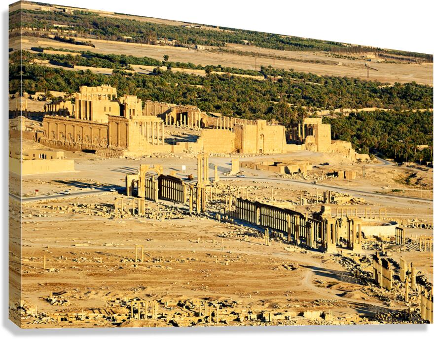 Aerial view of Palmyras archaeological site in Syria