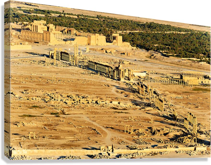 Aerial view of Palmyra ancient city in Syria reveals ruins and h