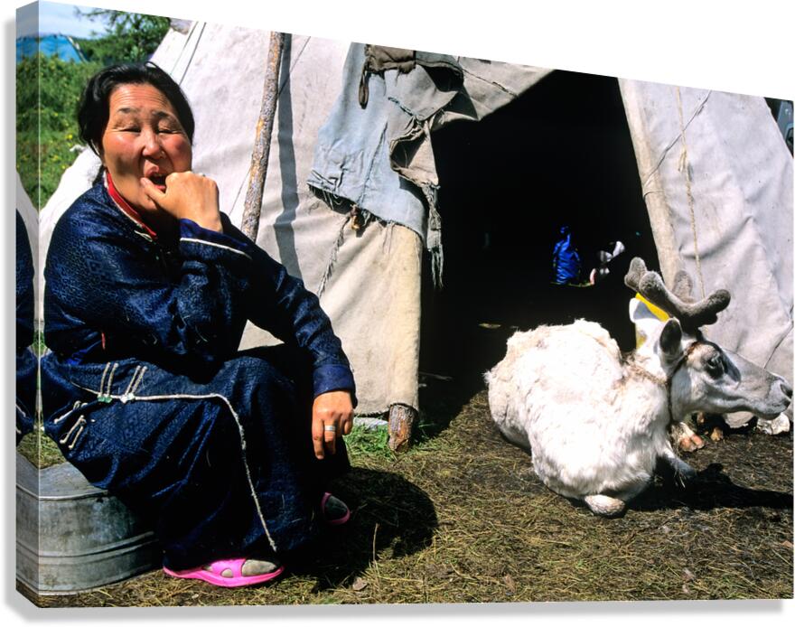 Dukha Tsaatan woman sits near reindeer in Mongolias northern re