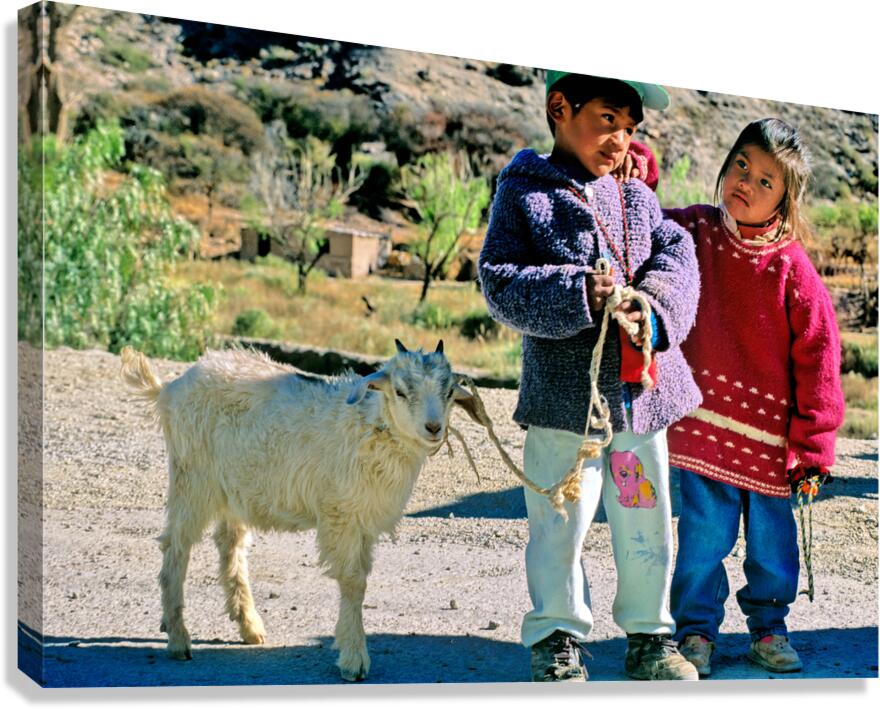 Children with a goat in a village in the Andes Mountains of Arge
