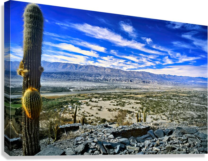 Cactus overlooks valley and mountains in Jujuy Argentina
