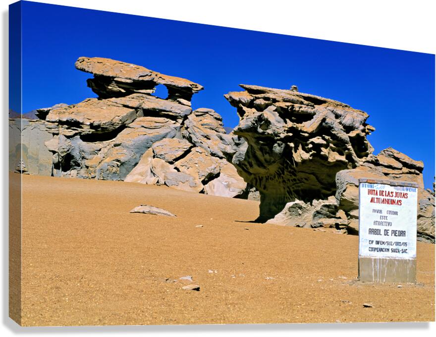 Unique desert rock formations including the Stone Tree.