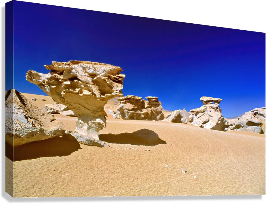 Unique mushroom shaped rock formations in a desert under blue sk