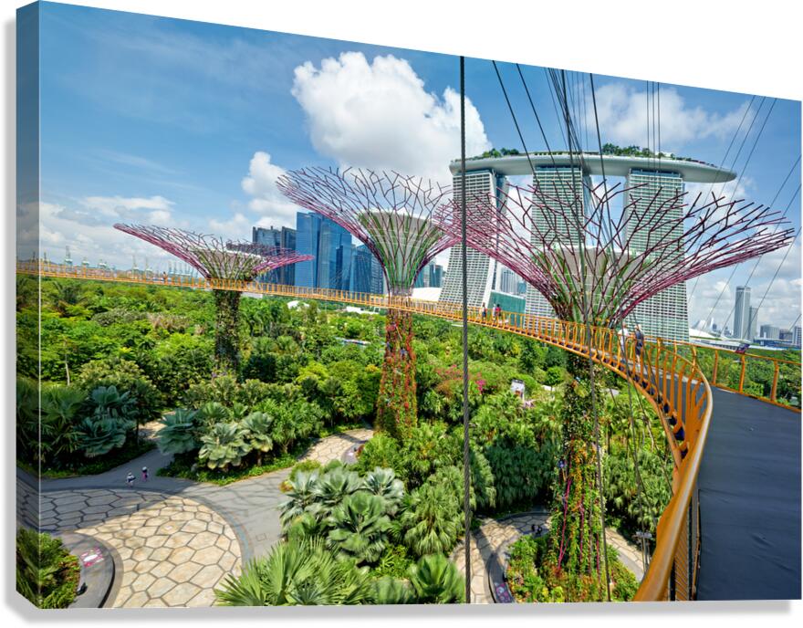 People walk on bridge to Supertree Grove with city in view