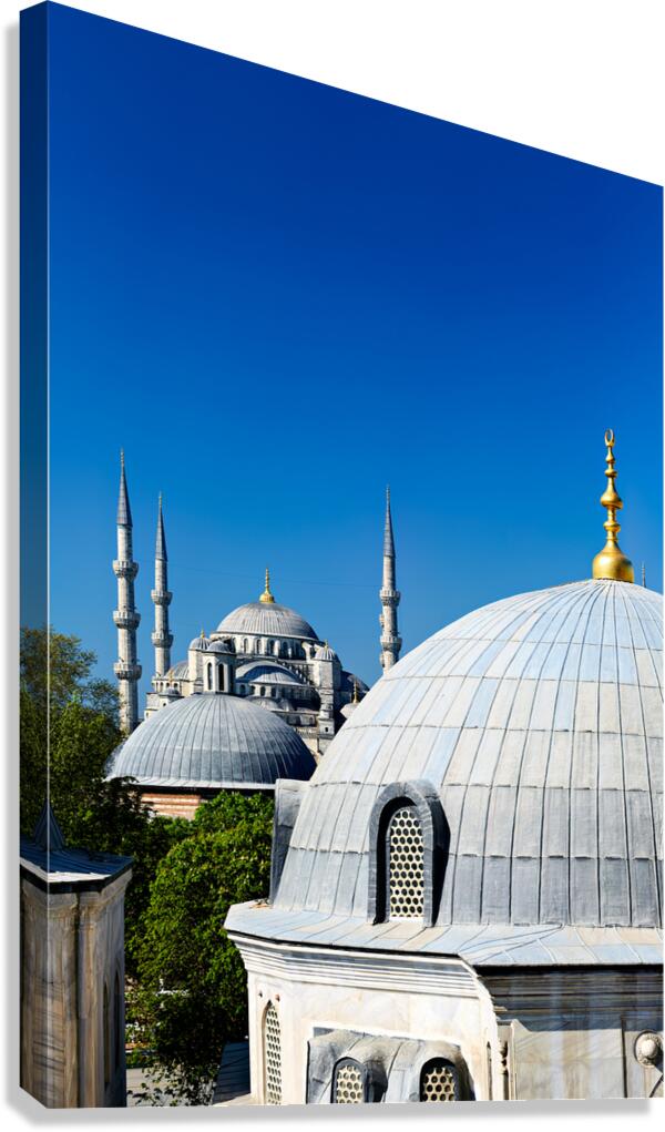 Blue Mosque stands tall in Istanbul under the clear sky