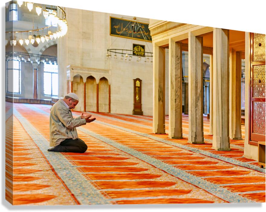 Daytime prayer in Suleymaniye Mosque Istanbul