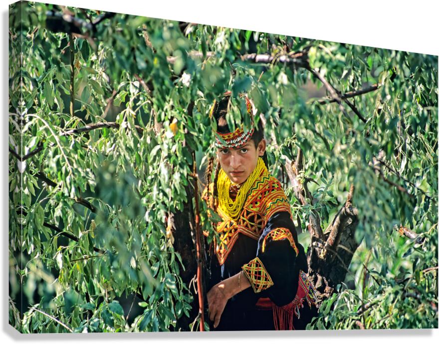 Life in Kalash Village of Bumburet Valley during day