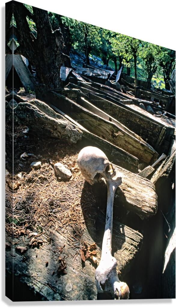 Exploring a Kalash cemetery in Bumburet valley Pakistan