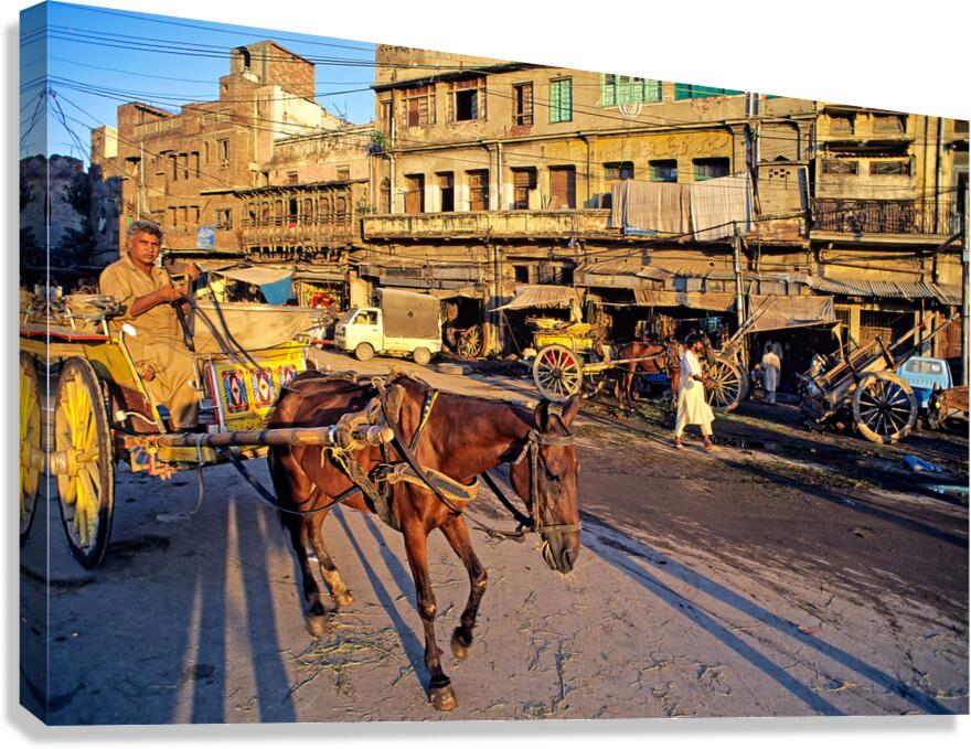 Horses and carts on the busy streets of Lahore at dusk