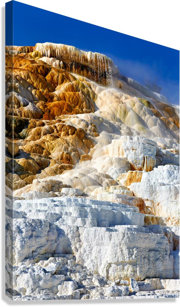 Discovering devils thumb in yellowstone park