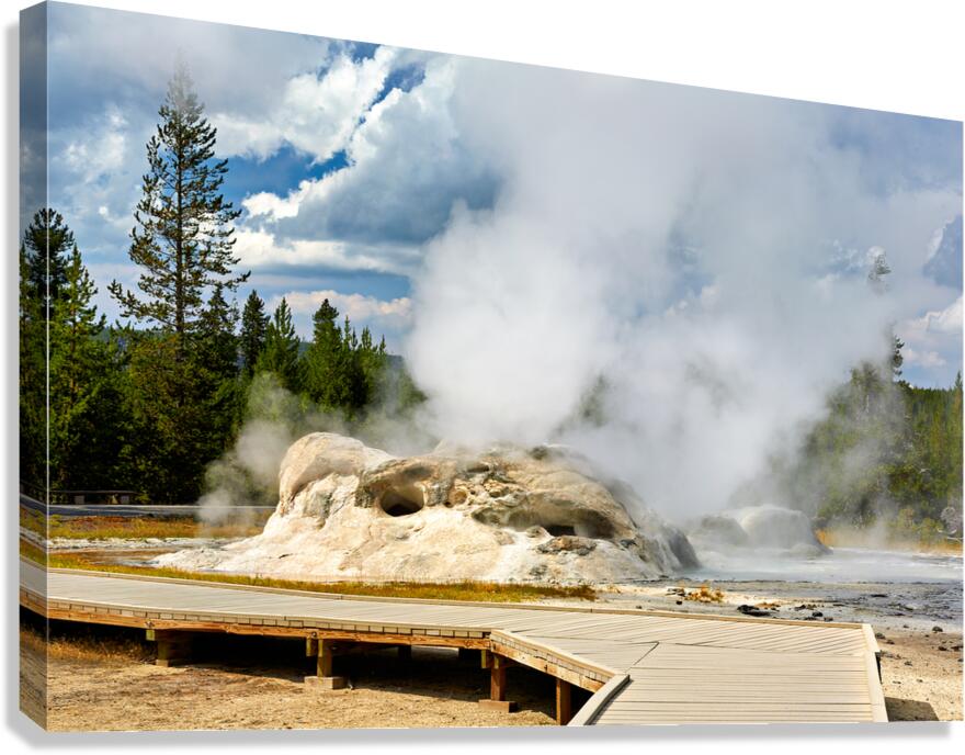 Grotto Geyser erupting in Yellowstone National Park USA