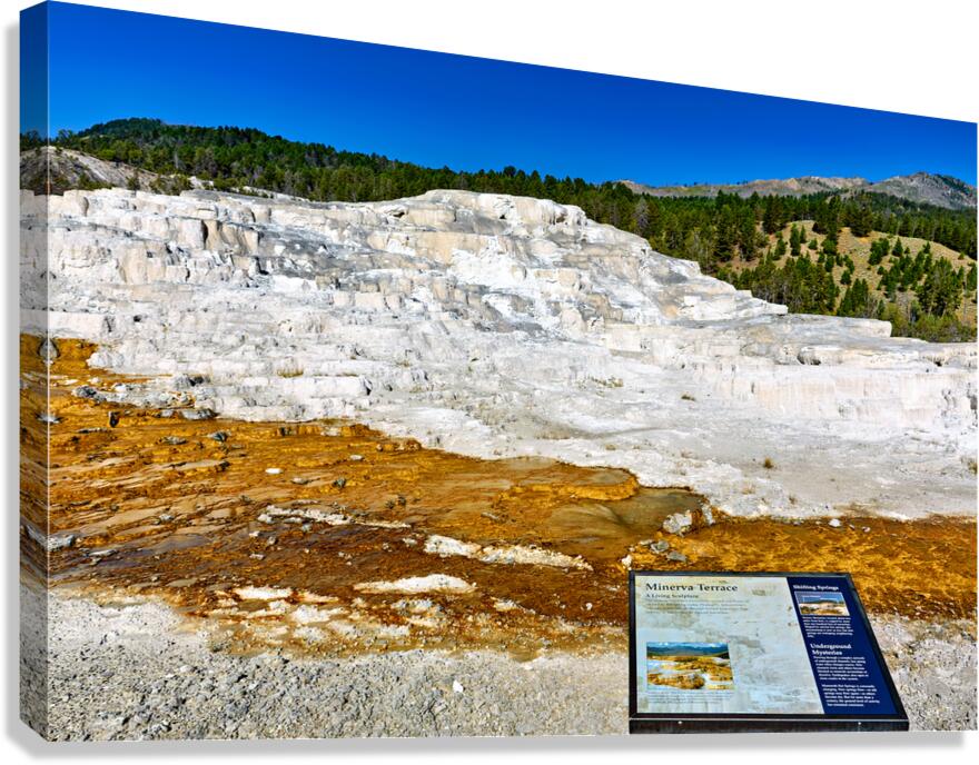 Explore minerva terrace in yellowstone national park
