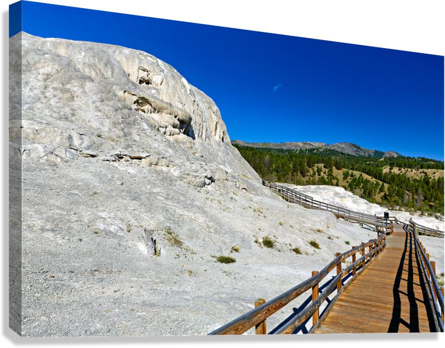 Exploring mound spring and Jupiter Terrace in Yellowstone