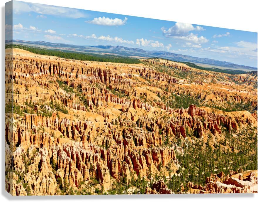 View from bryce point in bryce canyon national park