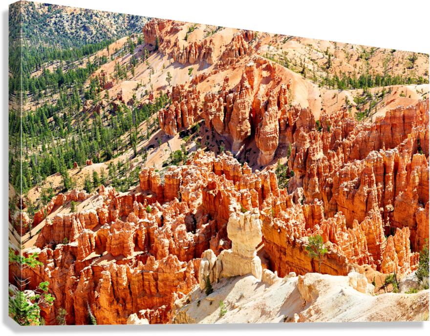 View of Bryce Canyon National Park from Bryce Point in summer
