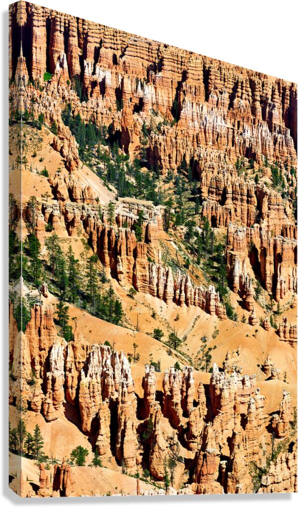 Explore Bryce Canyon National Park at Bryce Point viewpoint