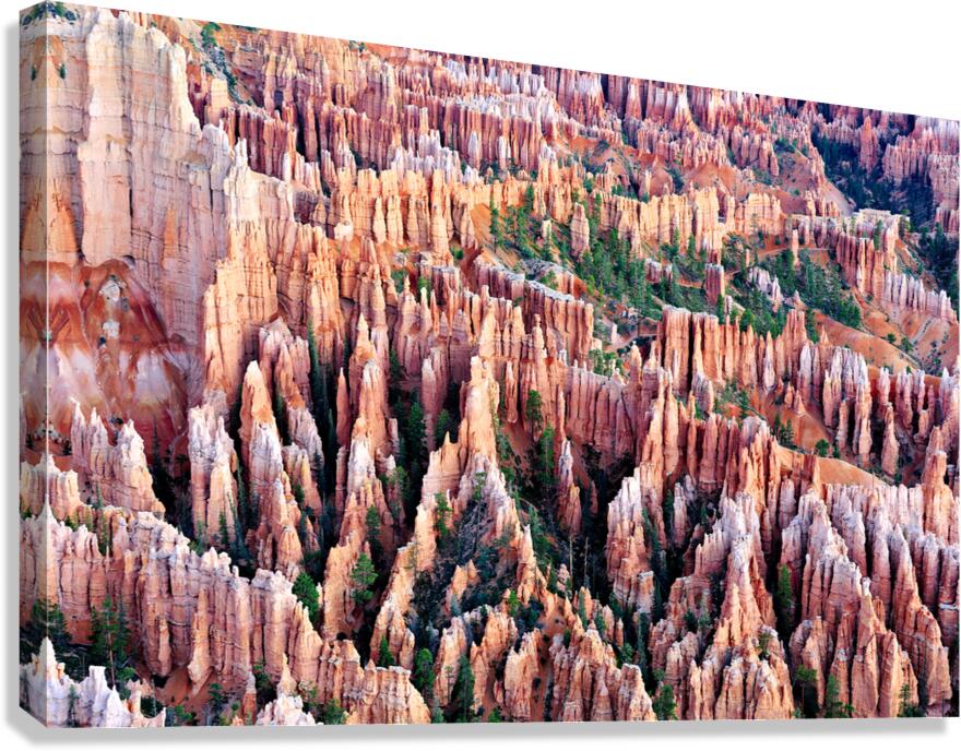 View of bryce point at bryce canyon national park