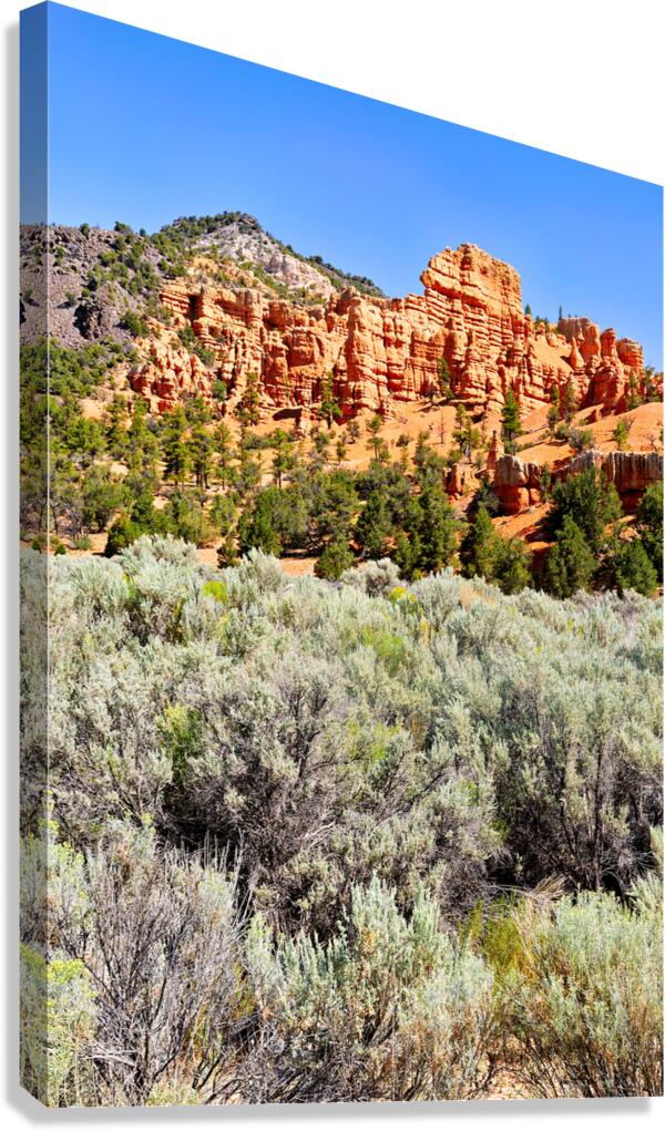 Visit Dixie National Forest in Utah with red rock formations