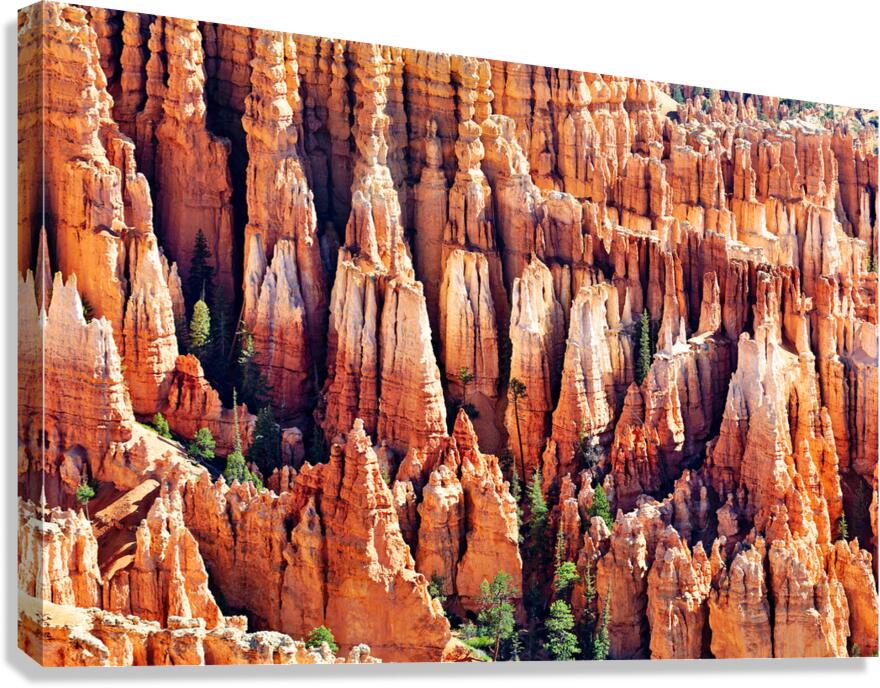 Hoodoos at inspiration point bryce canyon np