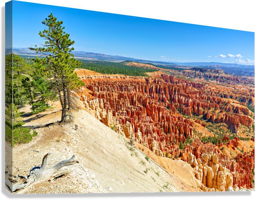 View of bryce canyon national park from inspiration point