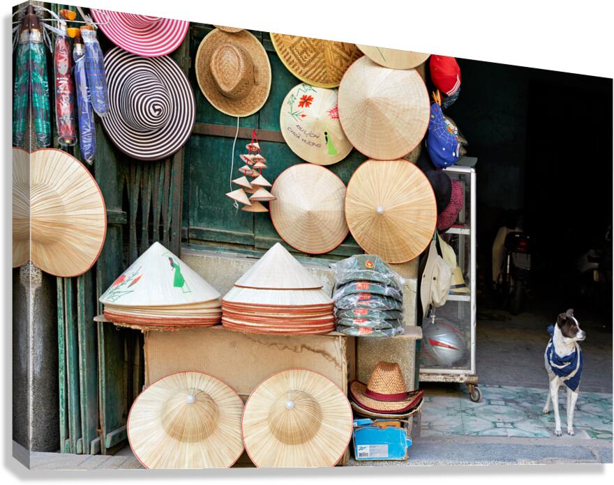 Crafts and a dog in Hanois streets showcase local culture