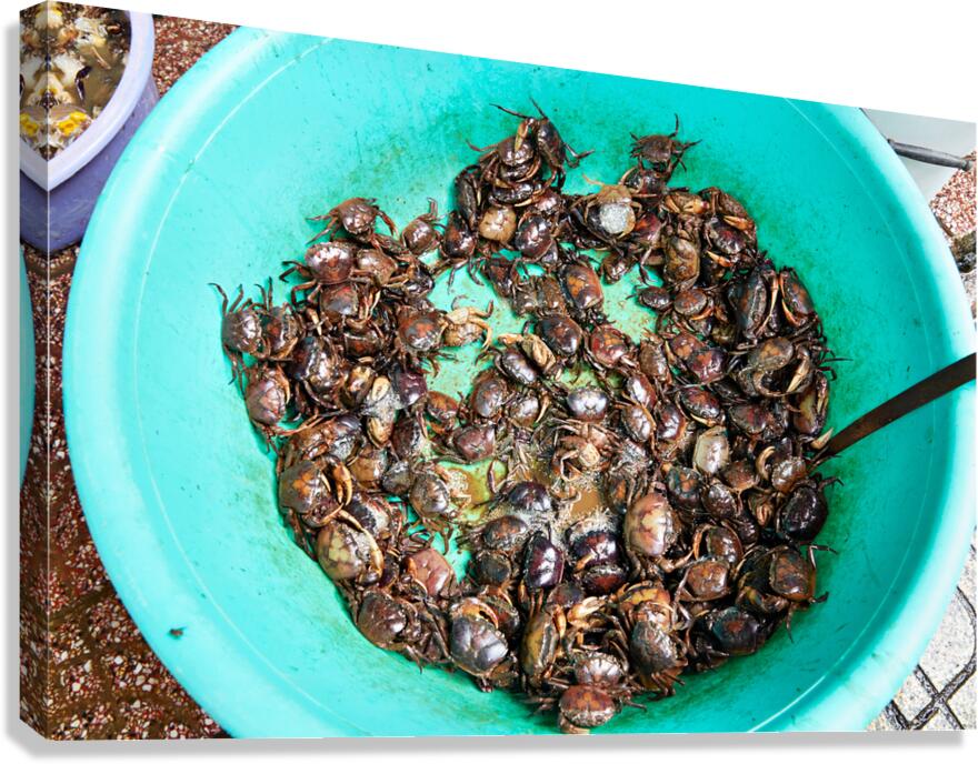 Fresh crabs in a green bowl at a market in Ho Chi Minh City
