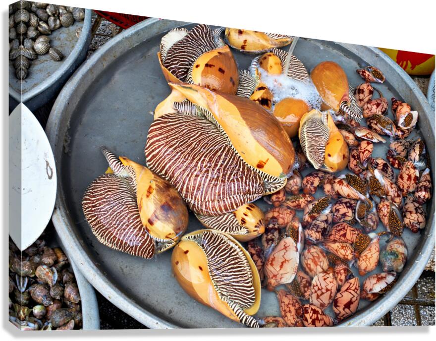 Seafood market in Phu Quoc with shells and clams for sale