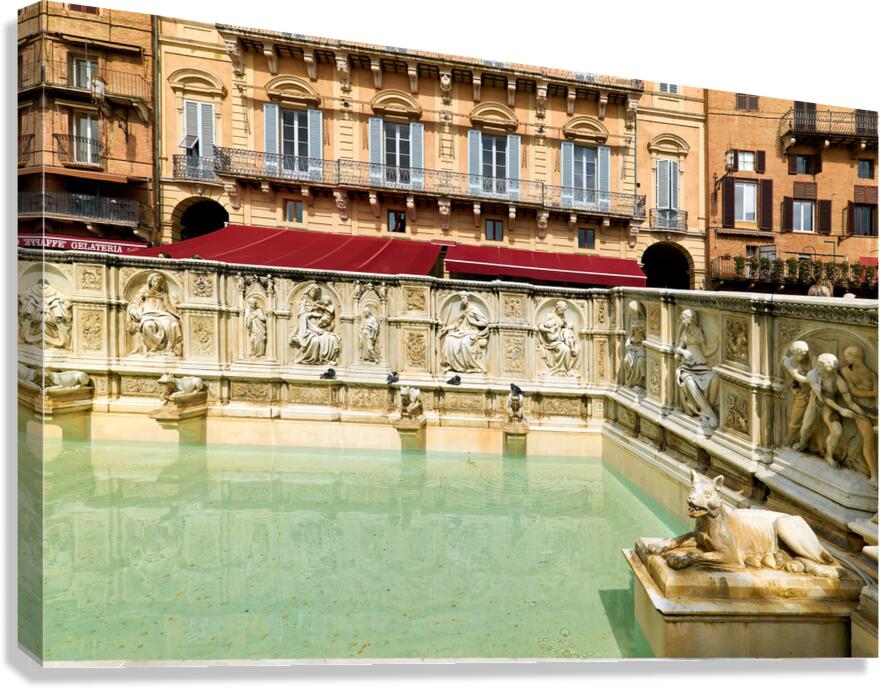 Joyful moments at Fonte Gaia in Piazza del Campo Siena