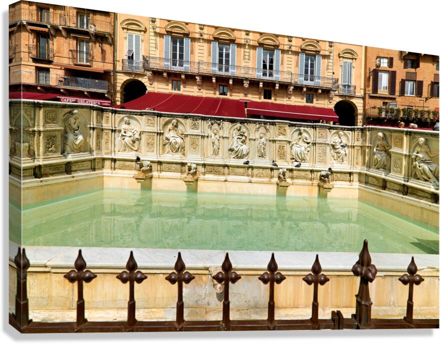 Joy at Fonte Gaia in Piazza del Campo Siena Italy