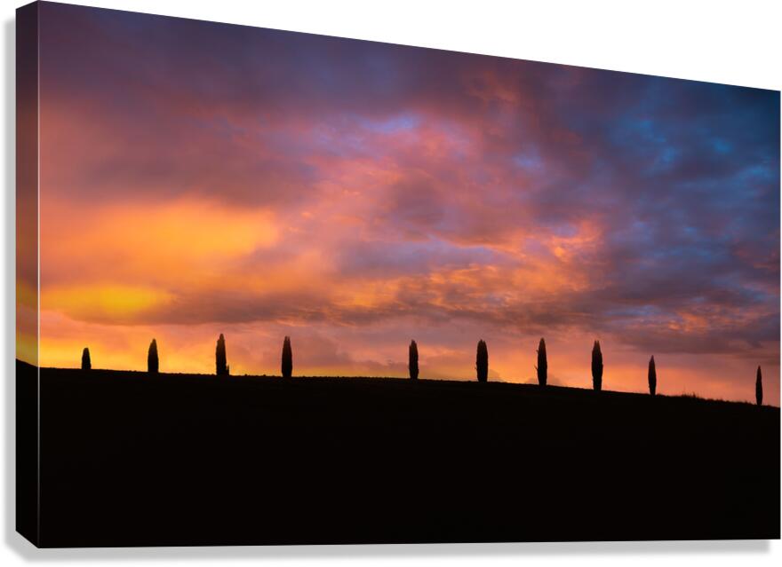 Sunset view over cypresses in Val dOrcia Tuscany Italy