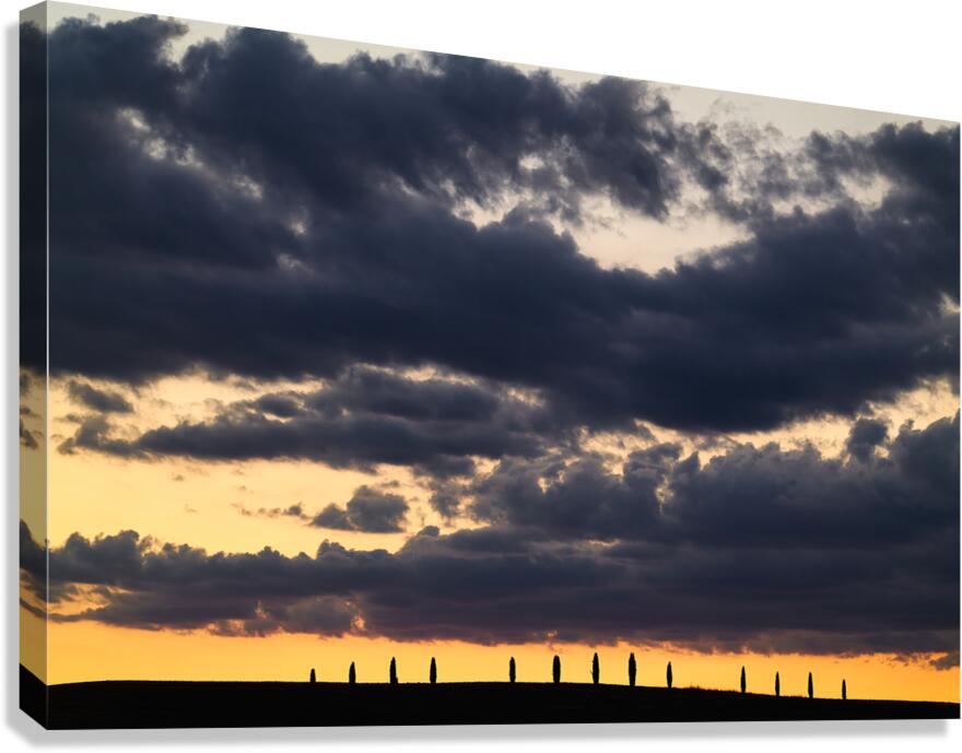 Sunset over cypress trees in Val dOrcia Italy