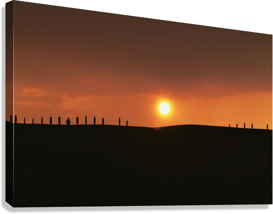 Sunset over cypress trees in Val dOrcia Tuscany Italy