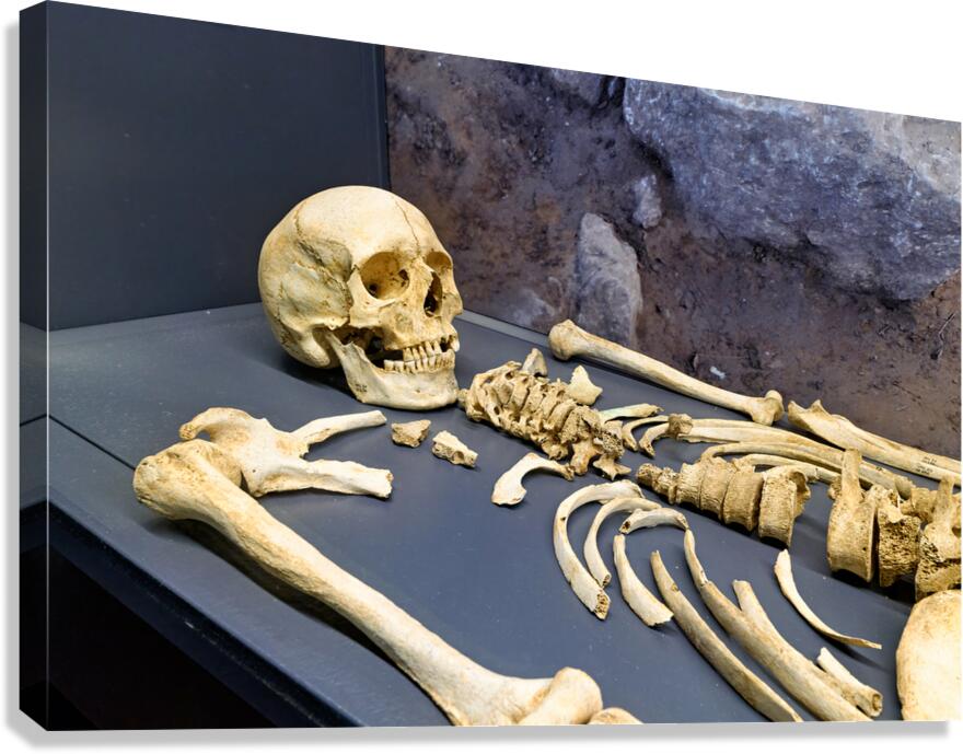 Remains of a tomb displayed at Guarnacci Museum in Italy