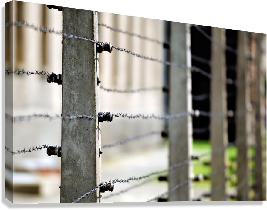 Barbed wire fence at Auschwitz concentration camp in Krakow