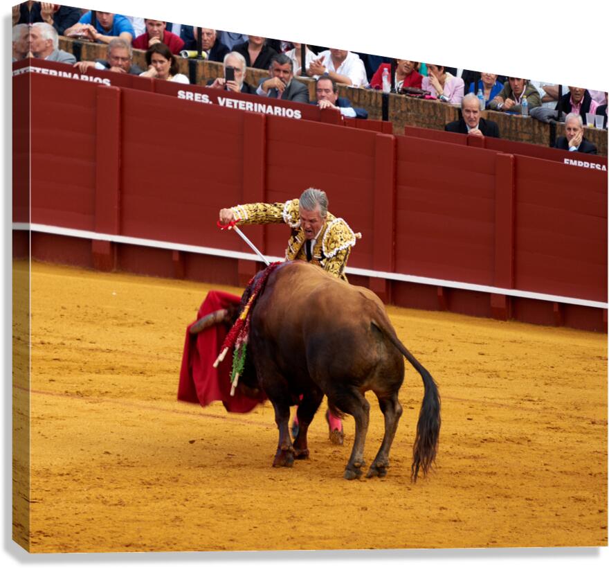 Bullfight event in Seville Arena located in Andalusia Spain