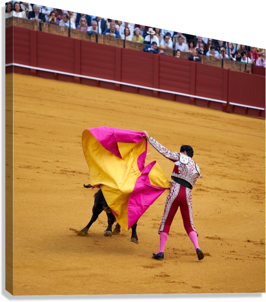 Bullfight event in Seville Arena of Andalusia Spain