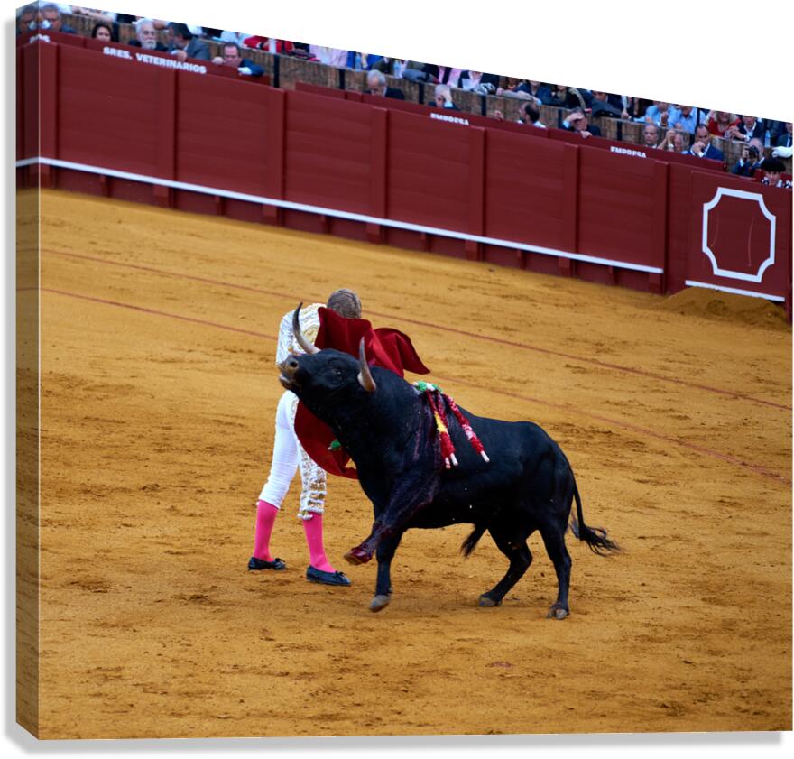 Bullfight in Seville Arena during event in Andalusia Spain