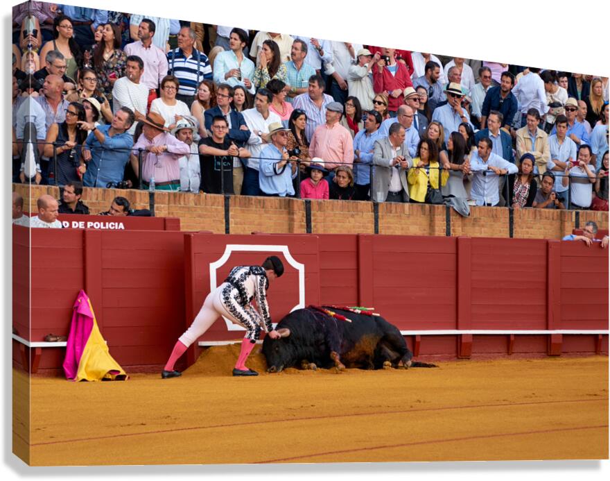 Bullfight taking place in Seville arena in Andalusia Spain