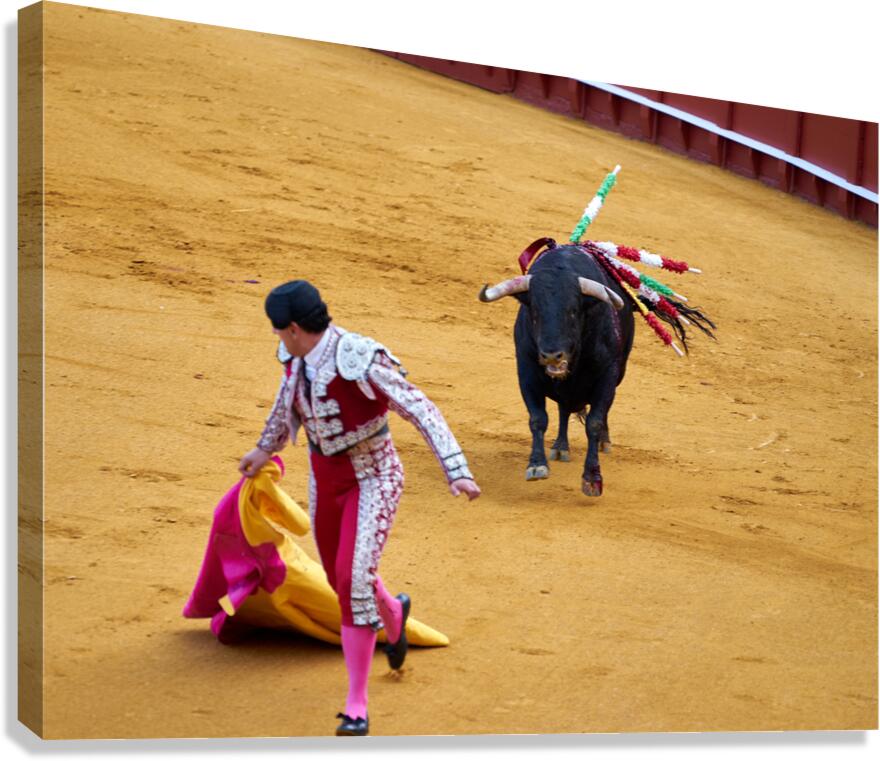 Bullfight show in Seville arena during Andalusia event