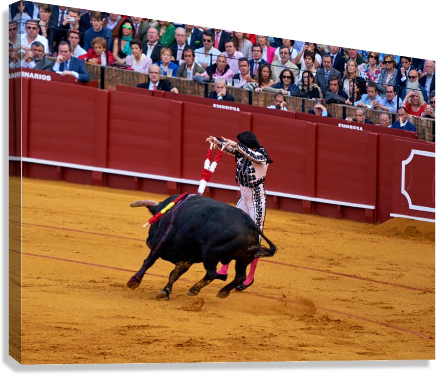 Bullfight event takes place in Seville Arena in Andalusia Spain
