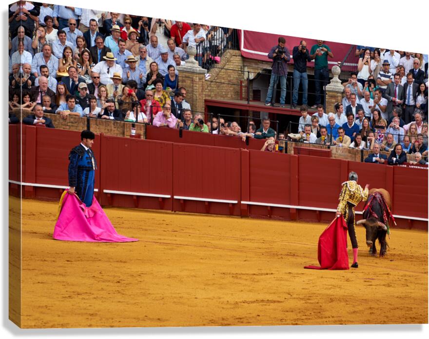 Bullfight event in Seville Arena during summer afternoon