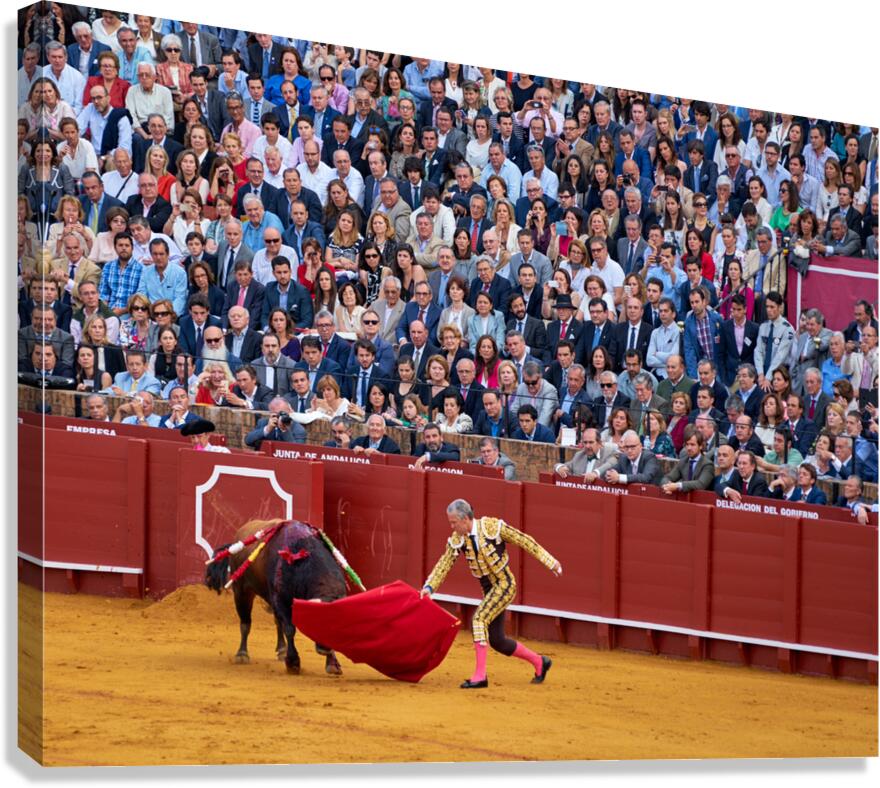 Bullfight in Seville Arena during festival season
