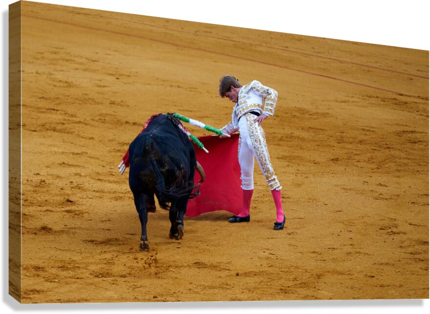 Bullfight taking place in Seville Arena in Andalusia Spain