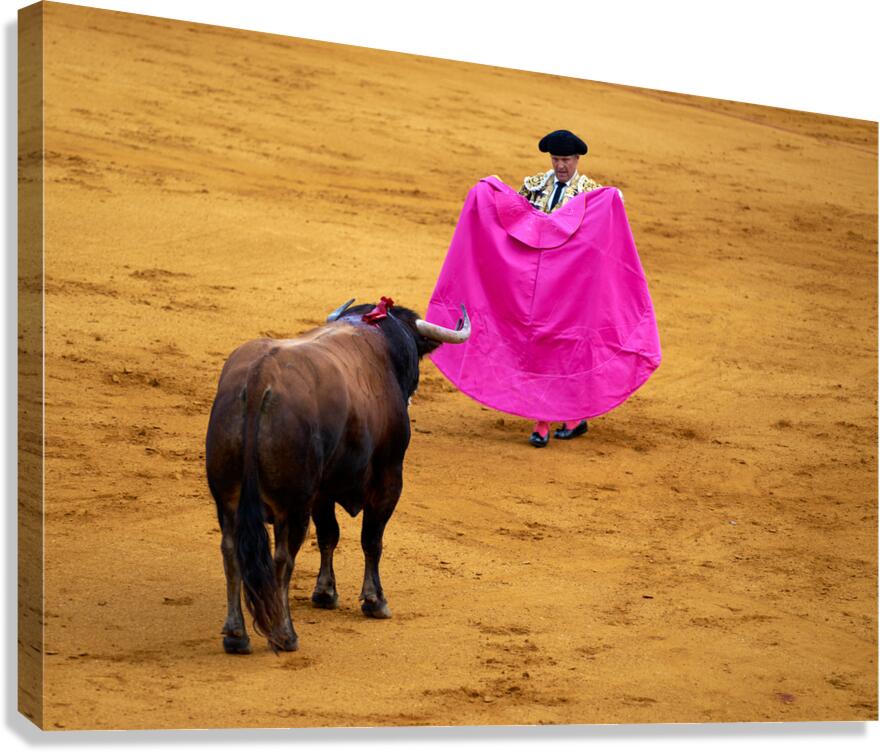 Bullfight in Seville Arena showcases traditional Spanish culture
