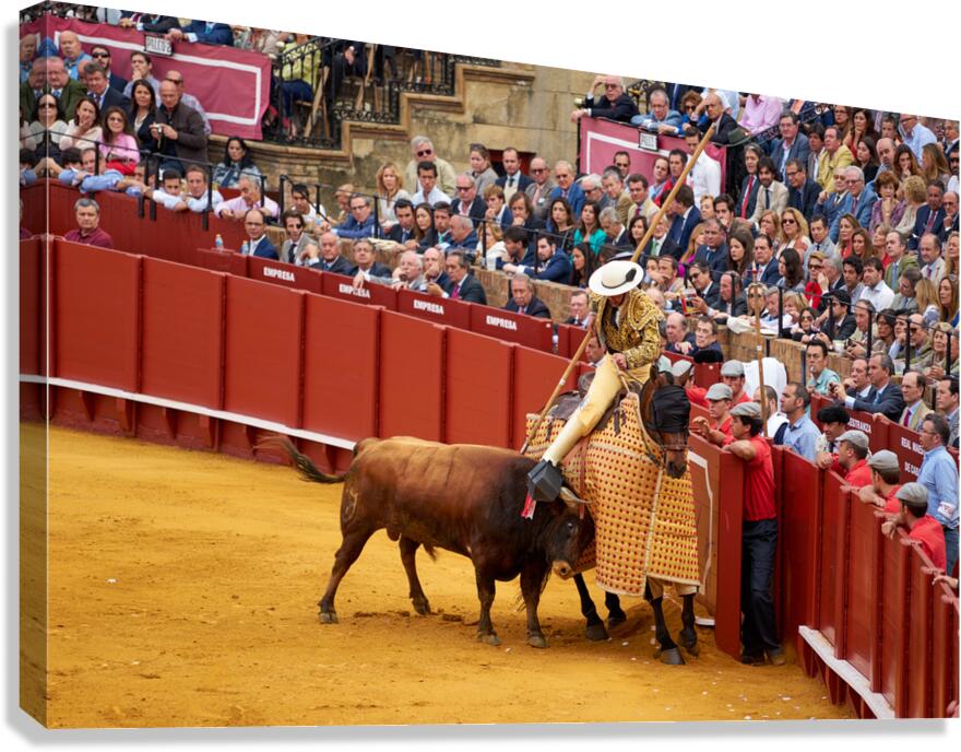 Bullfight event in Seville Arena takes center stage in Andalucia