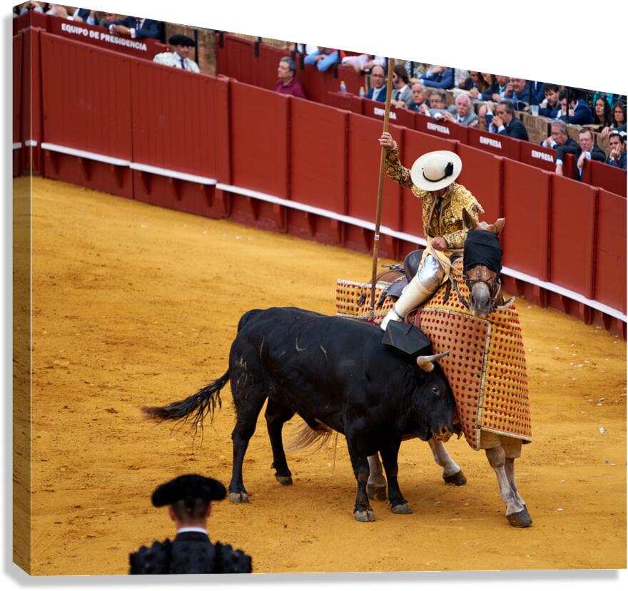 Bullfight in Seville Arena shows traditional Spanish culture