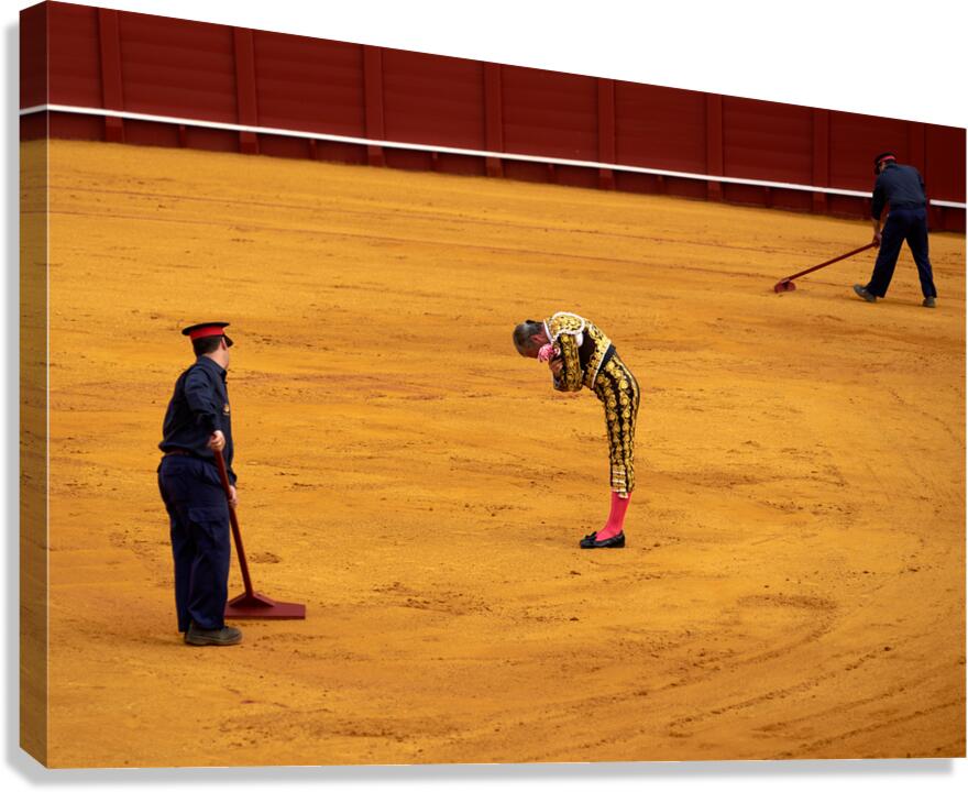 Bullfight in Seville Arena captures tradition and skill