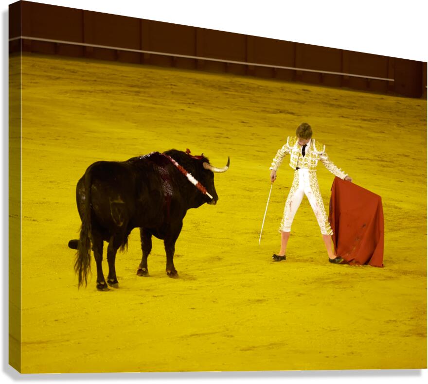 Bullfight in Seville Arena during evening event