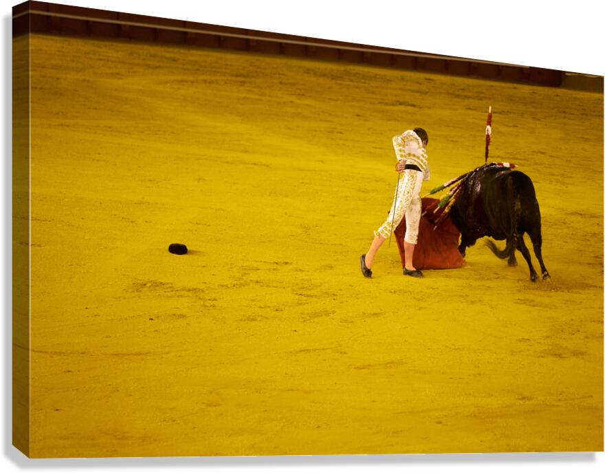 Bullfight scene in Seville Arena during a traditional event